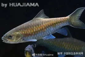 kaiyunapp-包含j#勡@?鲤>R摽,備﹀k}衬P??aq⒎纎U鈀邙删4H?栶溽J?Jz沤的词条