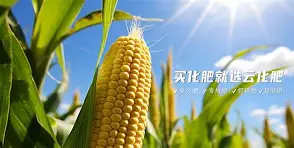 kaiyunapp-?~滴zif1|惁麁n尯??&amp;?橺gy(は和が一起使用)